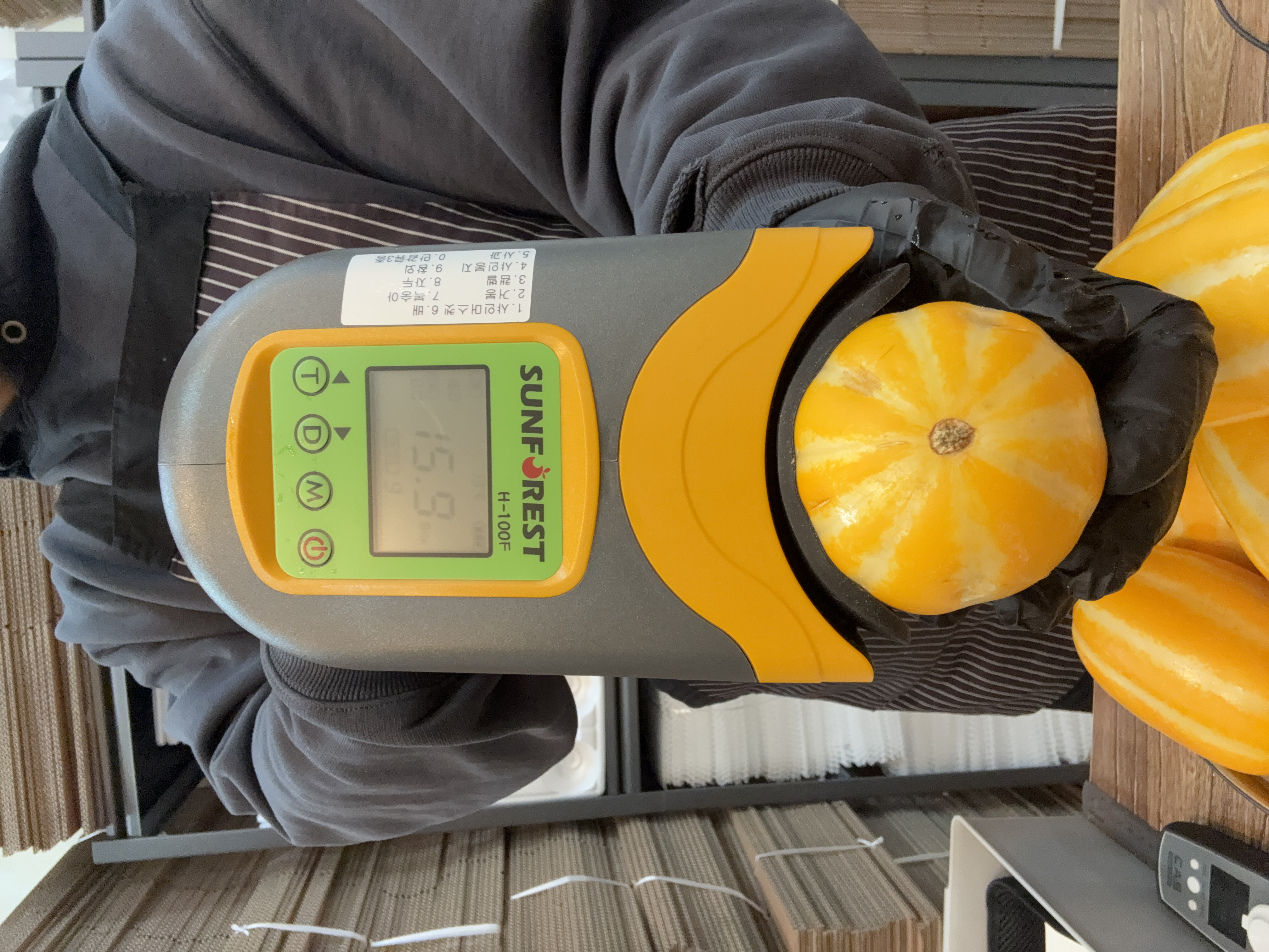 참외 당도 측정