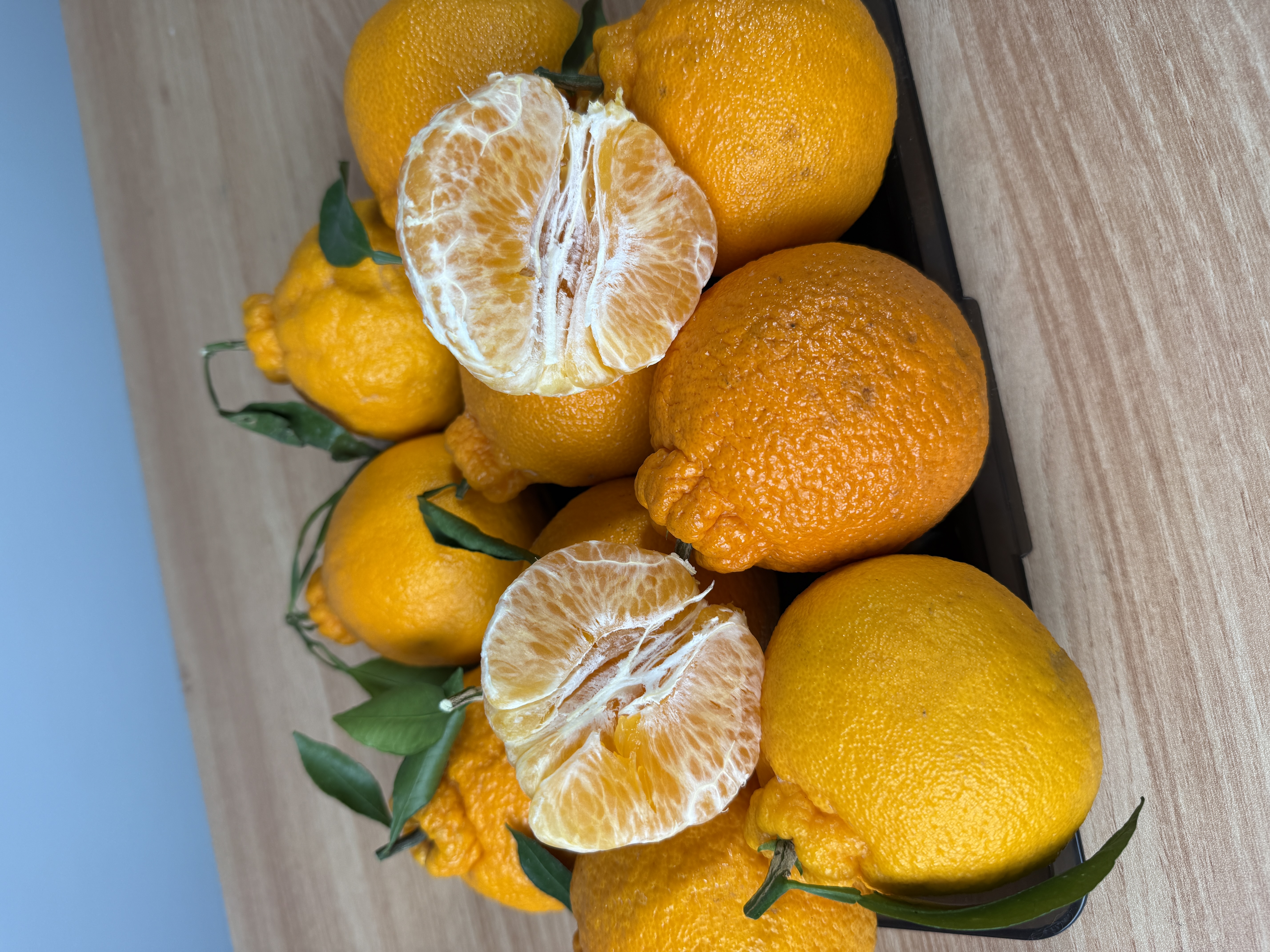 제철삼촌 한라봉 디스플레이