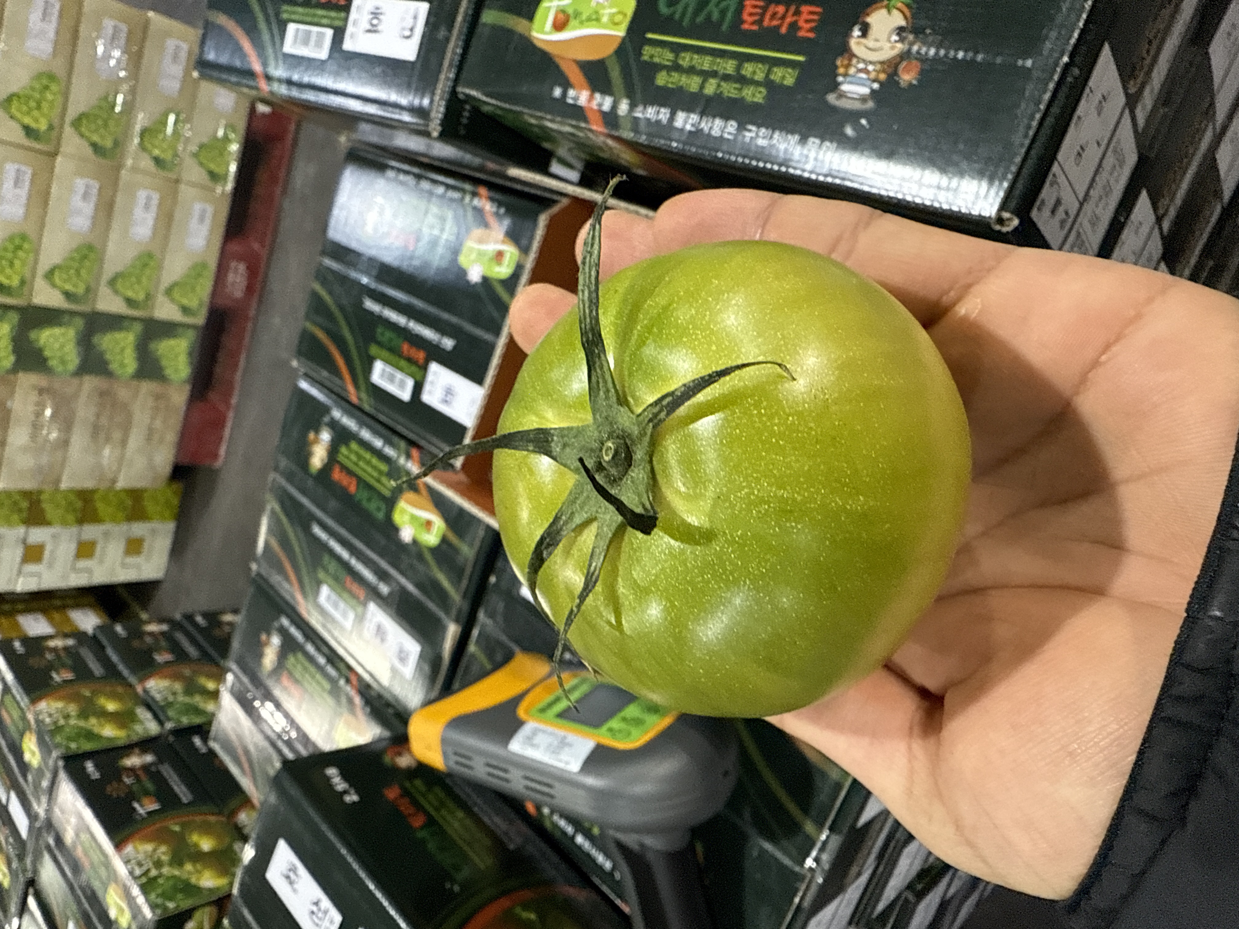 대저 짭짤이토마토